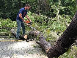 Mulching Services in Lagunitas Forest Knolls, CA